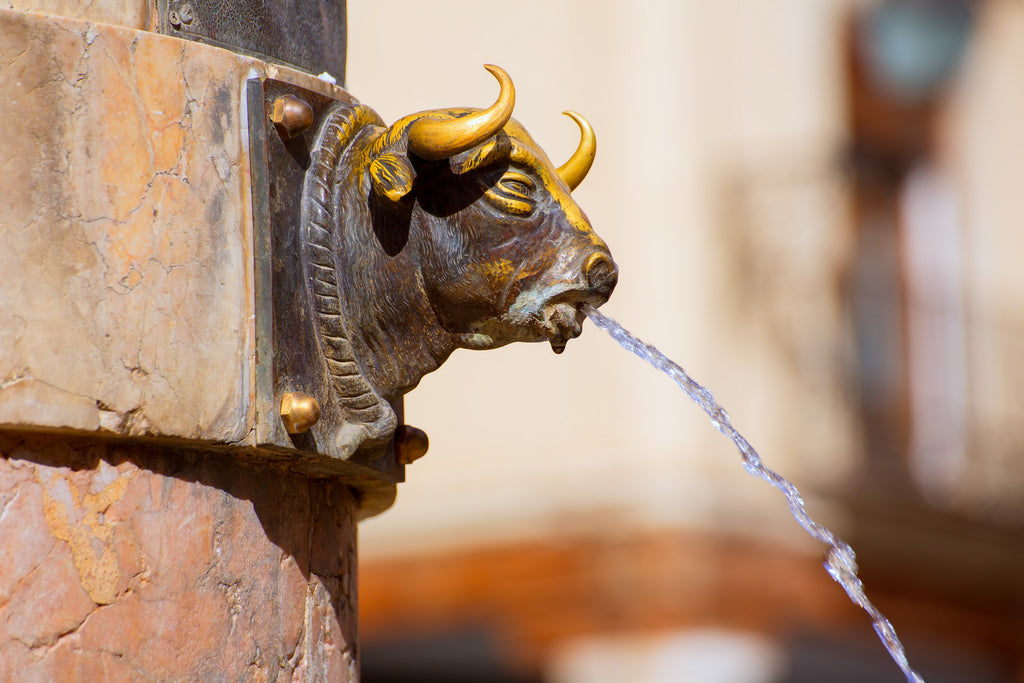 Bull head fountain in Spain