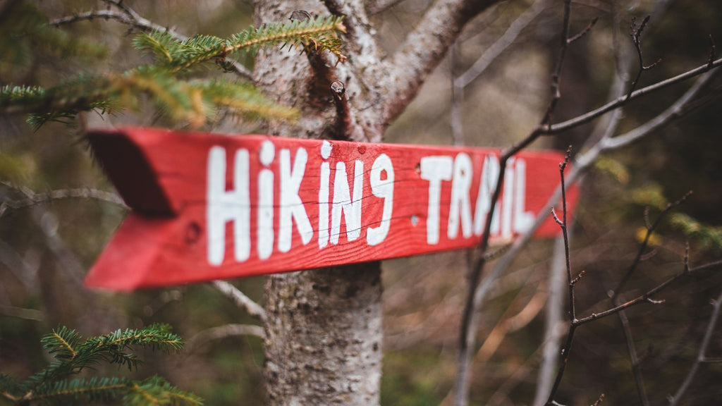 Hiking trail sign in a wooded forest