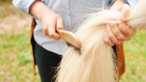 Horse Brushed Tail