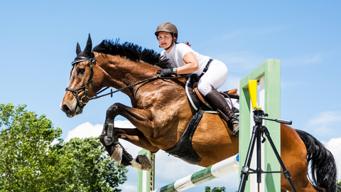 Horse Show Jumping