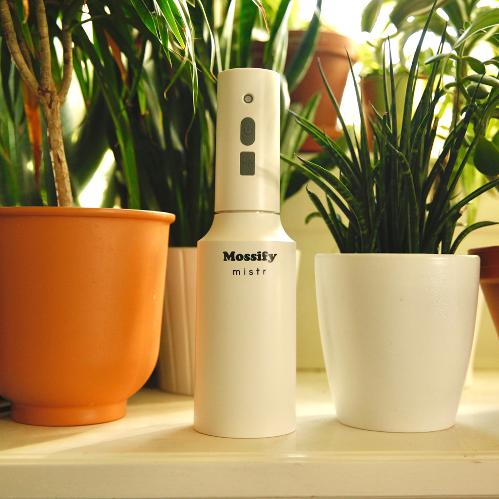 Mossify mistr Automatic Continuous Water Mister Rechargeable Water