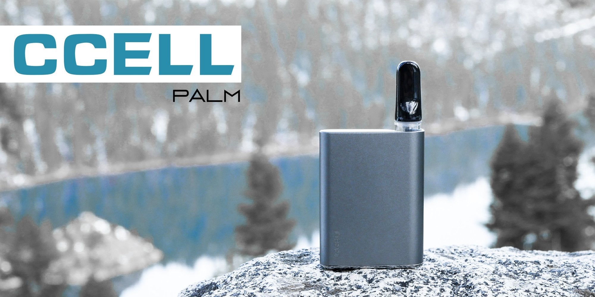 Ccell Palm