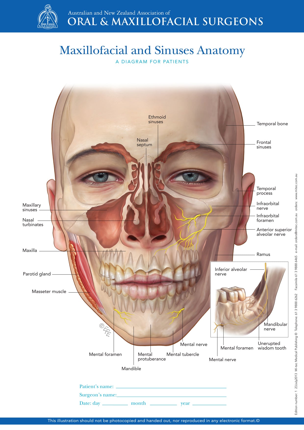 thesis topics oral and maxillofacial surgery