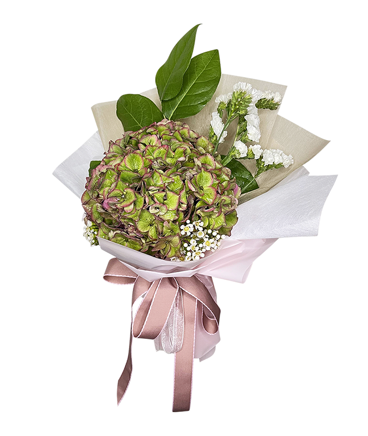 Image of Ombre Hydrangea Bouquet