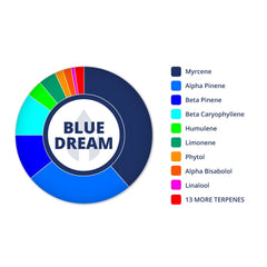 Blue Dream- Sativa - Snip & Rip Dabs - HHC-O