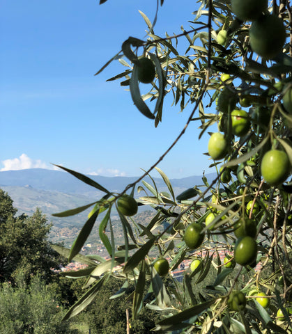 Olive giardinneli