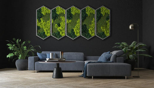 Moss Frame: 5 Reasons Why You Should Opt for Moss