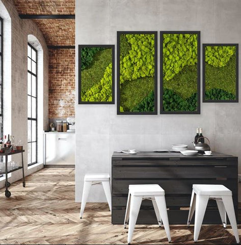 Moss Wall Art. Preserved Moss Decor. Plant Wall. Moss Art