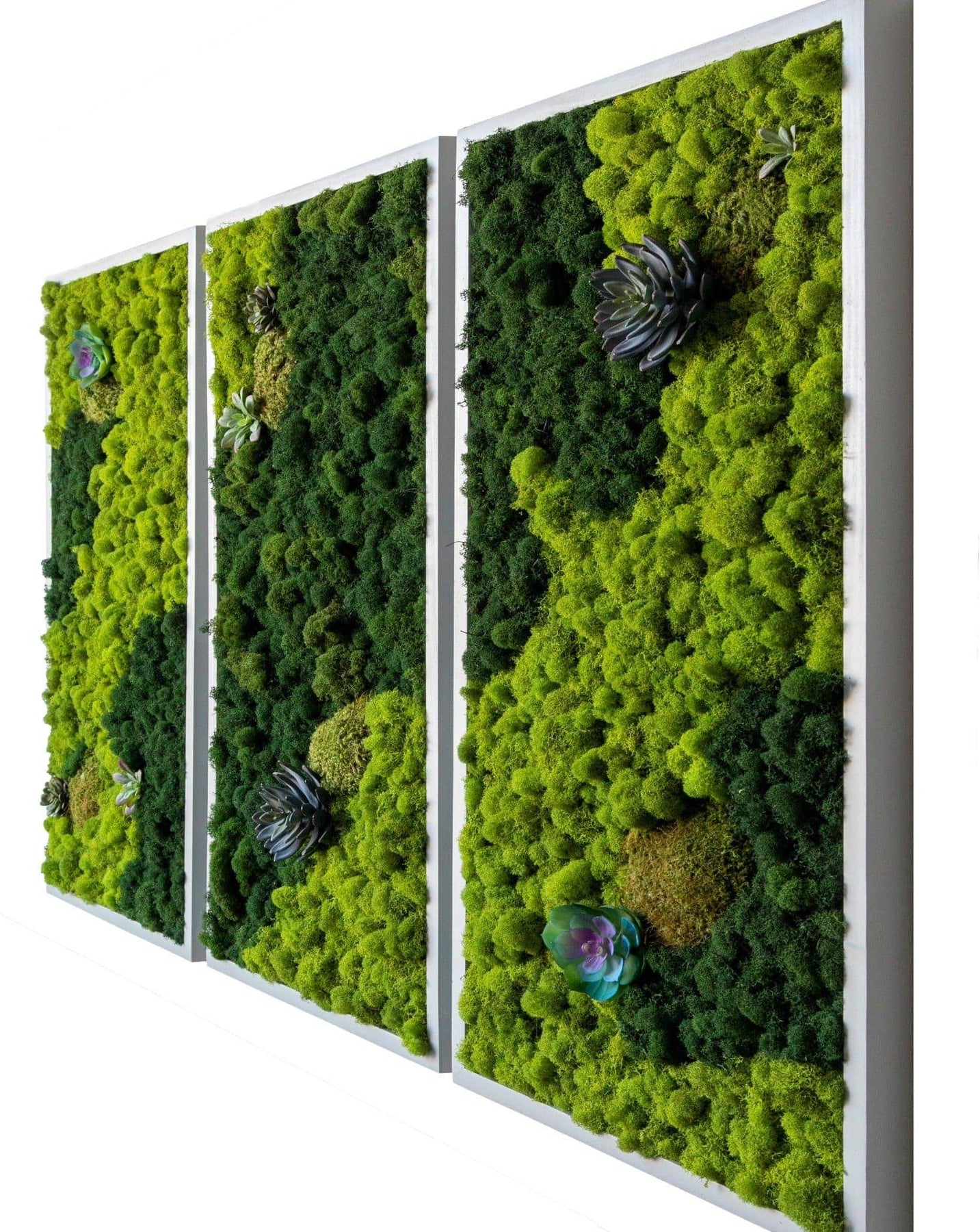 DIY Natural Moss Wall Tile- Interior Wall Features (Spring Green)