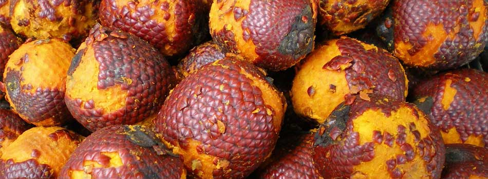 The benefits of Buriti Oil for skin & hair | Green People UK