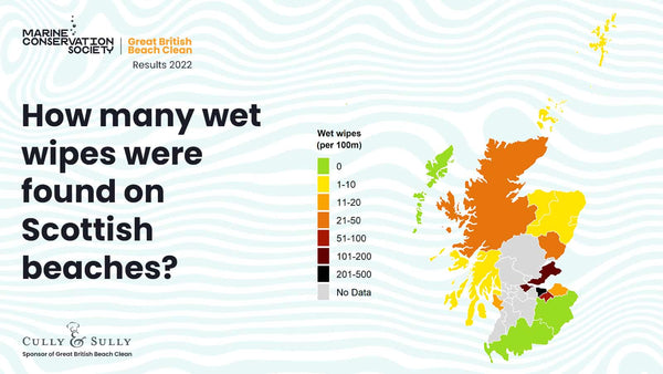 wet wipes on beaches in scotland