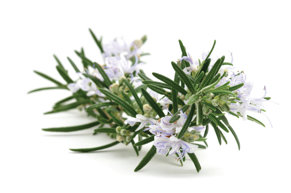 Rosemary