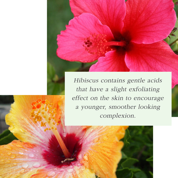 hibiscus skin benefits