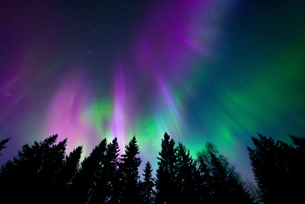 northern lights