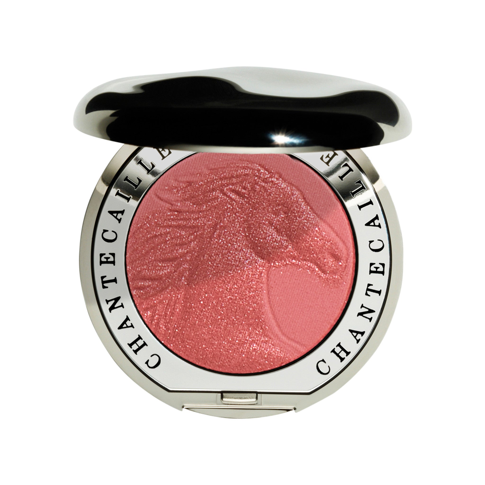 Philanthropy Cheek Shade main image.