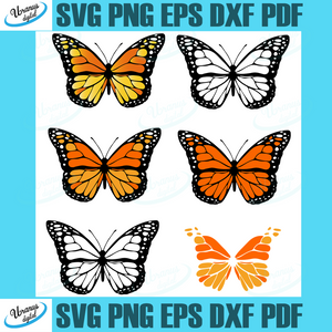 Download Trending Svg Butterfly Bundles Svg Svg Floral Butterfly Svg Flowers Svg Sping Svg Svg Cricut Silhouette Svg Files Cricut Svg Silhouette Svg Svg Designs Vinyl Svg Uranusdigital