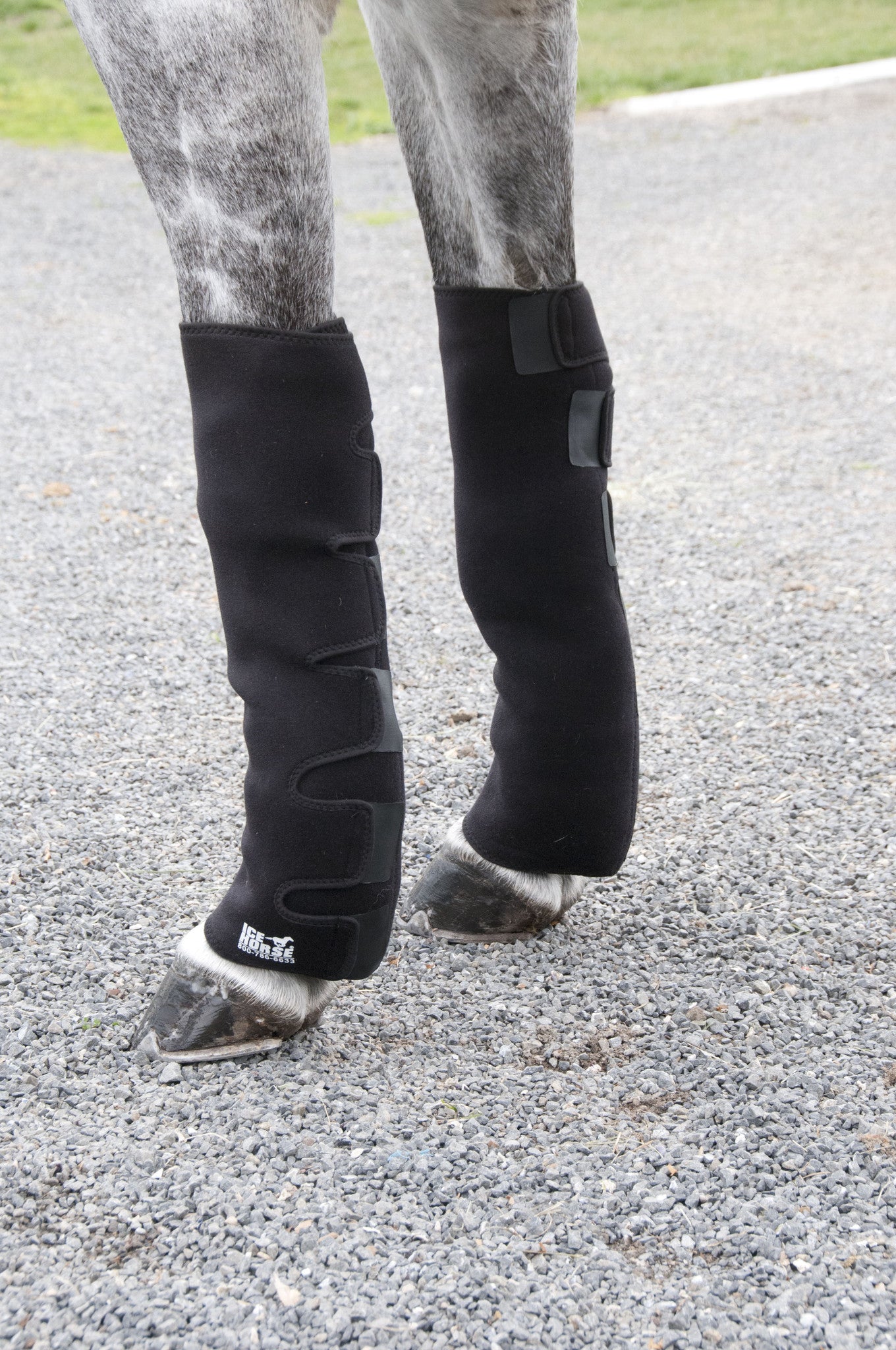 Ice Leg Wraps for Horses to Prevent Ankle and Leg Injuries | IceHorse