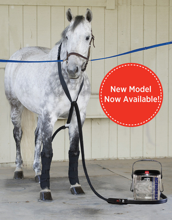 Horse Coolers | Cold Therapy Cooling Machine for Horses | IceHorse