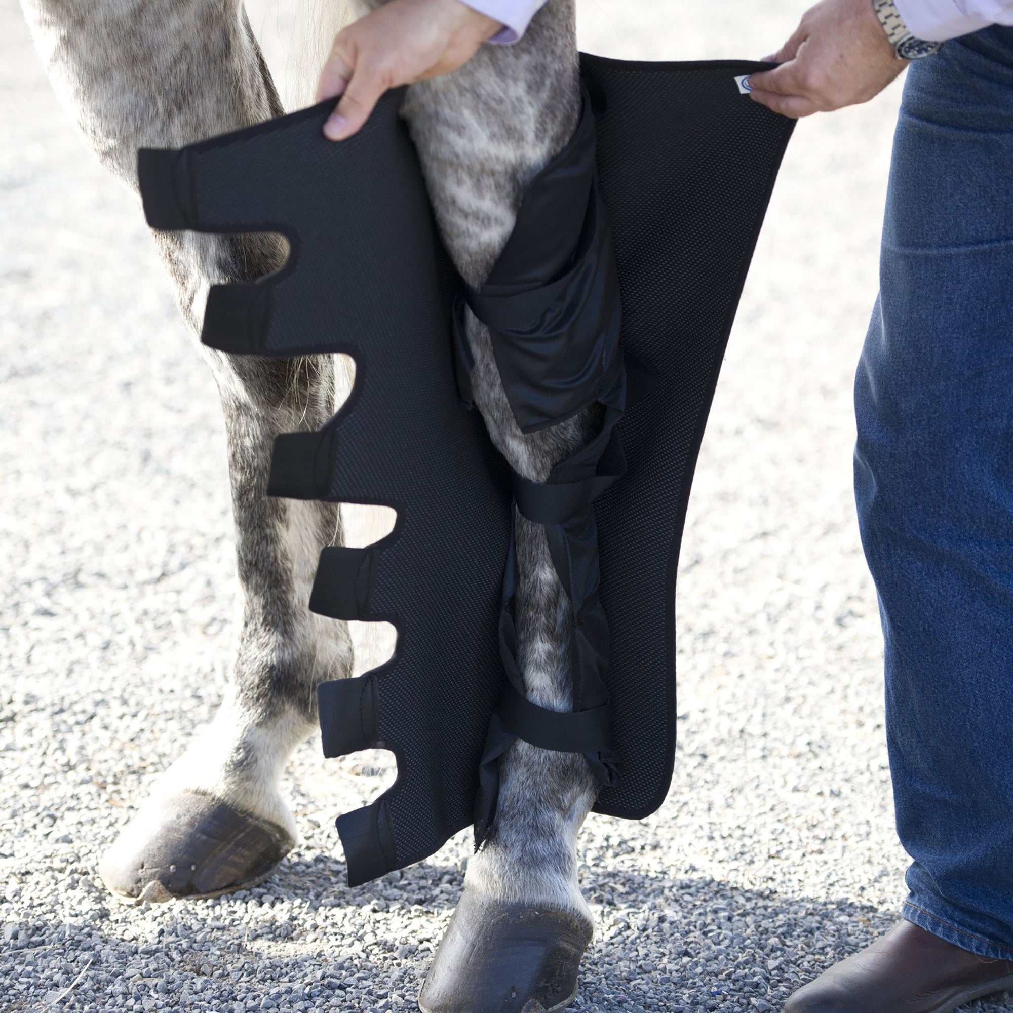 Leg Wraps for Horses and Hind Leg Ice Compression Wraps for Horses