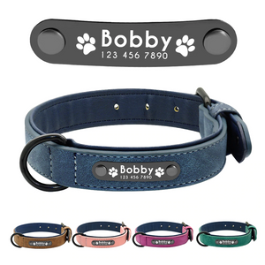 custom pet collars