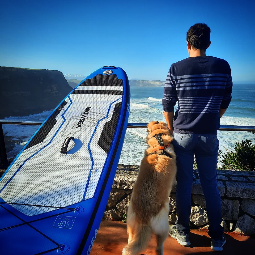 How to stand up paddle board with your dog
