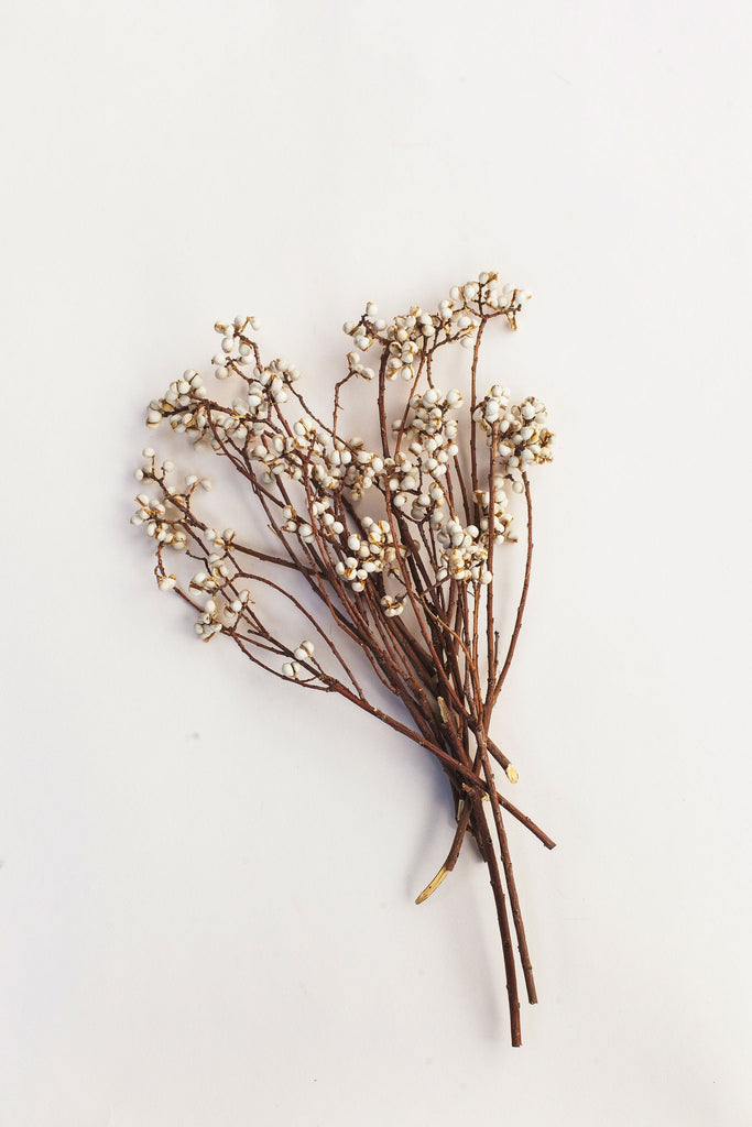 White Dried Flowers – Idlewild Floral Co.