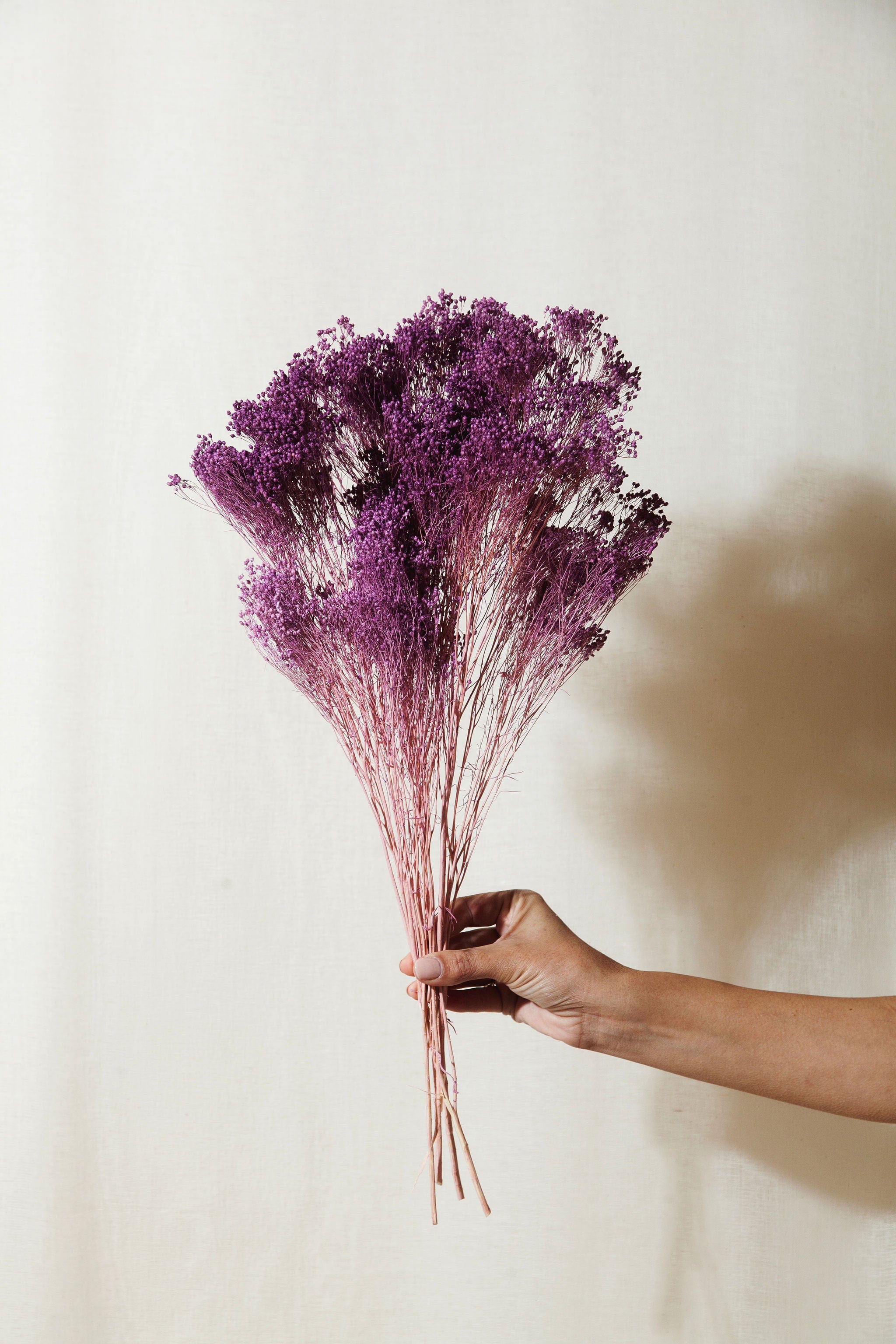 Lilac Broom Bloom - Idlewild Floral Co product image