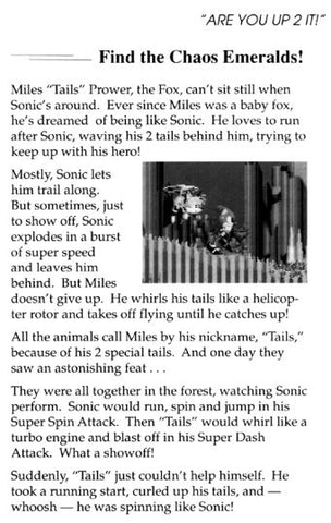 Sonic The Hedgehog 2 Manual