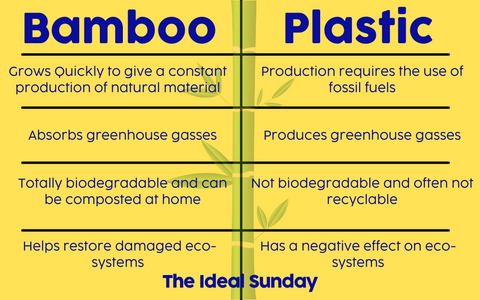 Why is bamboo better than plastic? Bamboo products eco friendly sustainable 