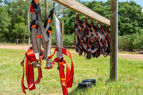 safety harnesses and gear hanging from wood plank by s-hooks