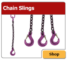 chain bridle image