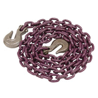 5/16 x 10' Grade 70 Chain Cluster w/ Safety Latch – Everything Tie Down