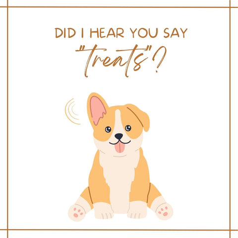 Image of puppy with the text 'Did someone say Treats?'