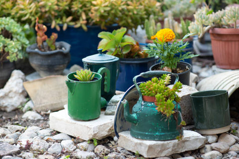teapots turned into planters