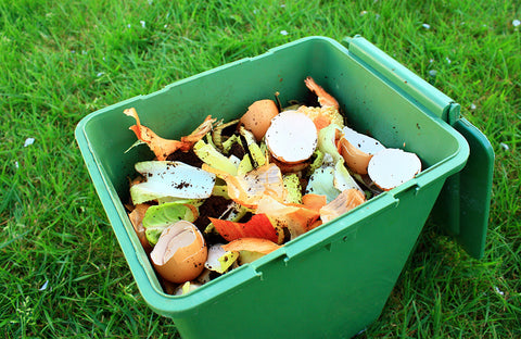 compost bin with vegetables.