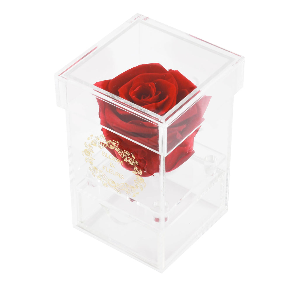 Luxe Box - Boîte de luxe avec roses éternelles couleur beauty pink