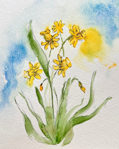 Daffodil watercolor painting by riles