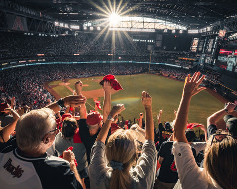 Community of baseball fans in a stadium