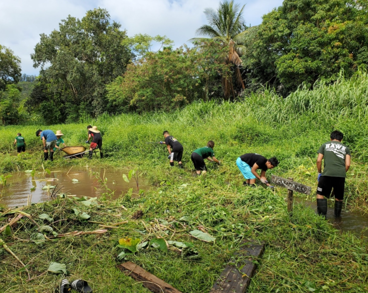 People working together in a lush green field, clearing vegetation near water.