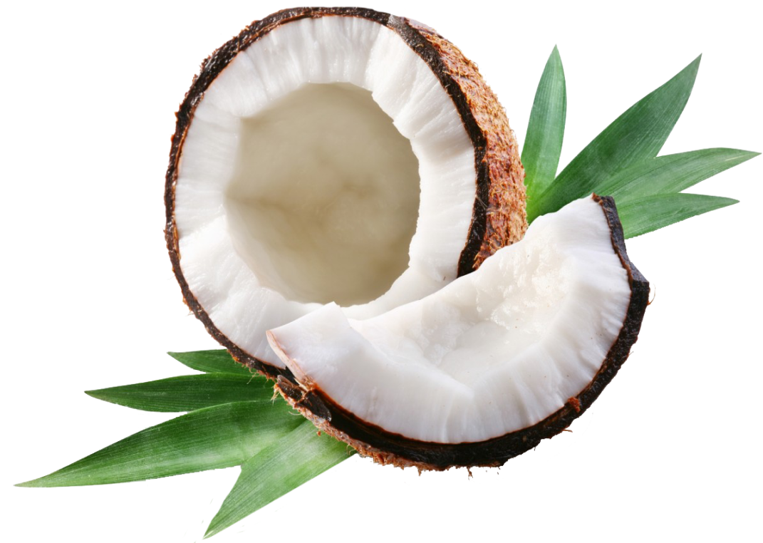 coconut