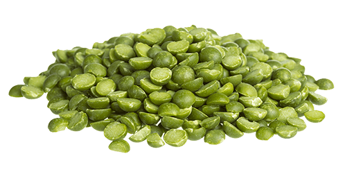 Pea Protein