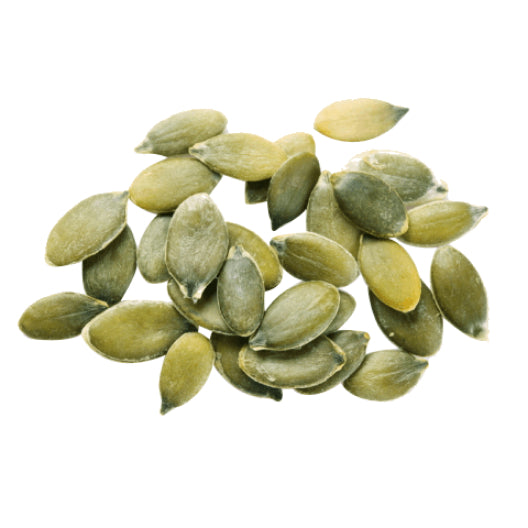 pumpkin seed protein