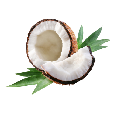 coconut