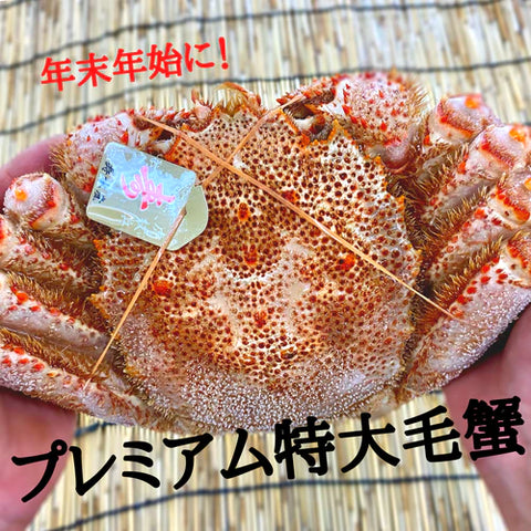 北海道産　毛蟹