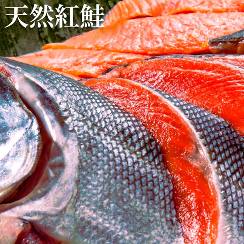 天然紅鮭　小樽