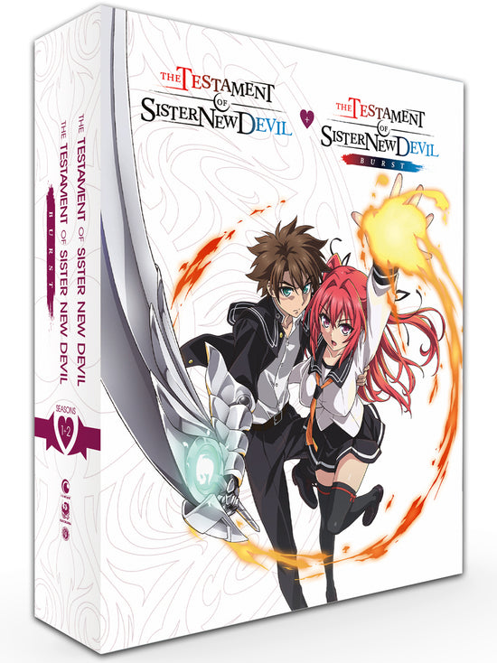 Anime Like The Testament of Sister New Devil BURST