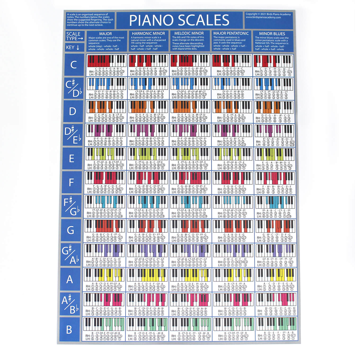 The Piano Scales Poster Birds Piano Academy