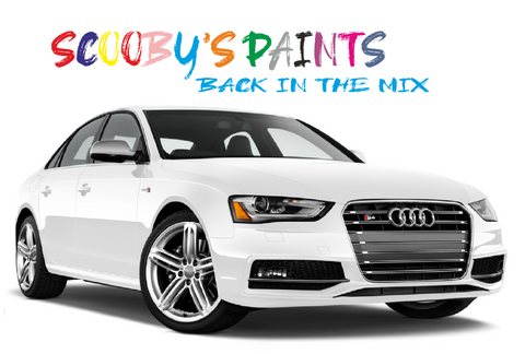 Audi-A4-S4-red-blue-green-black-silver-touch-up-paint-spray-aerosol