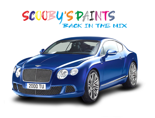 Bentley Car Touch Up Paint And Aerosol Spray Paint