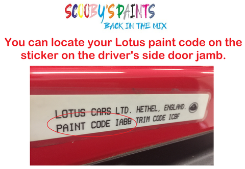 Lotus Car Paint Code Location
